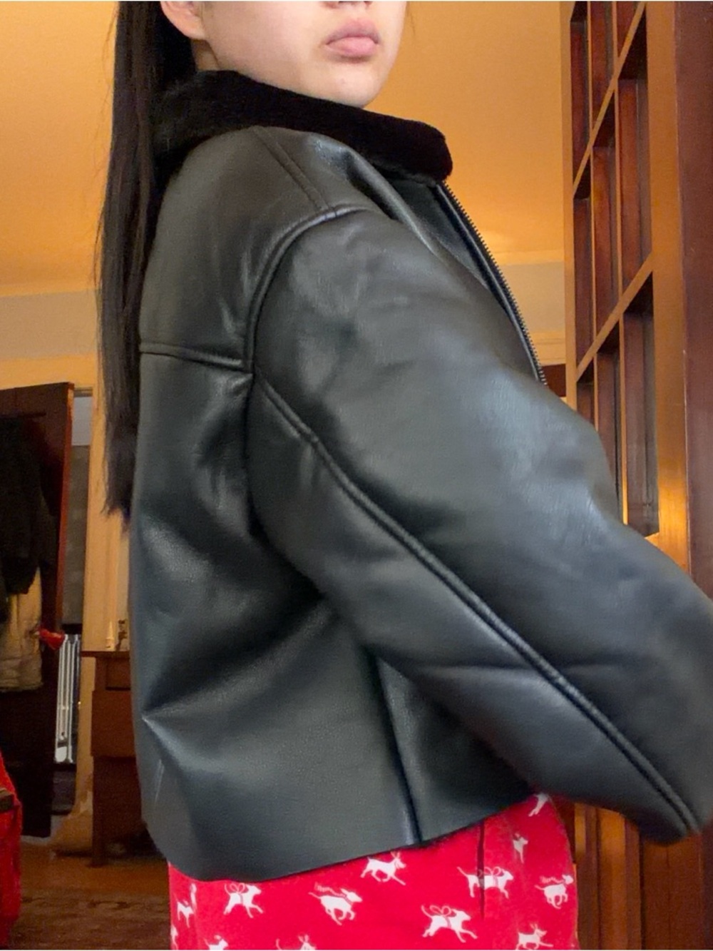 Leather Jacket - Picture 6 of 10